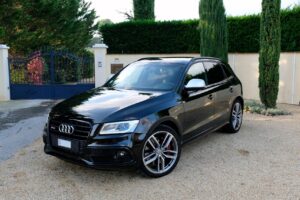 Audi SQ5 (1)