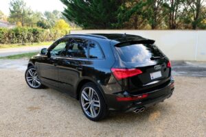 Audi SQ5 (4)