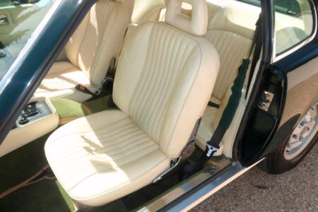 Aston Martin V8 (10)