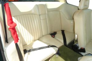 Aston Martin V8 (11)