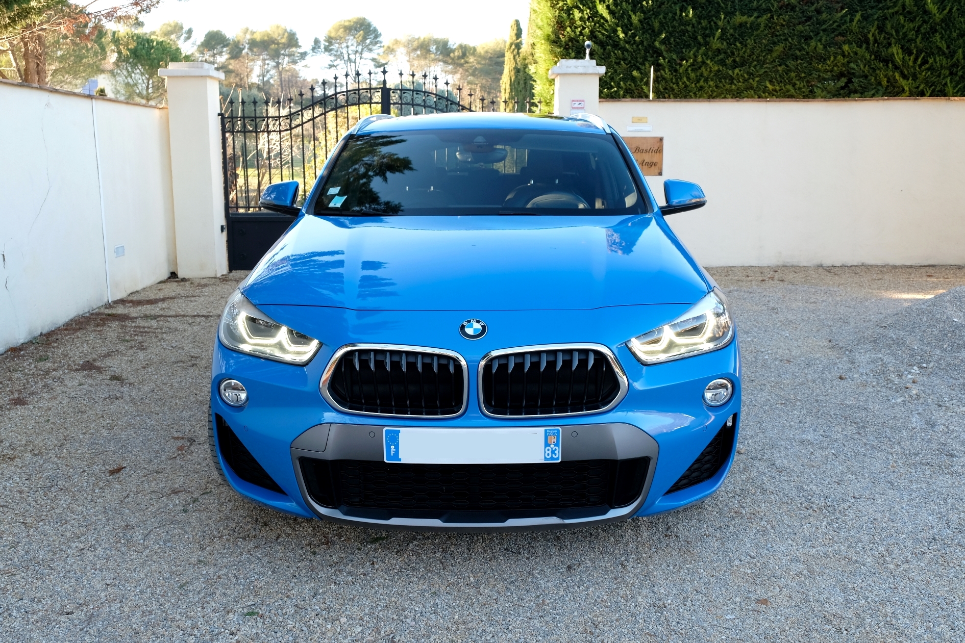 Bmw X2 (6)