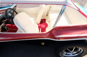 Meyers Manx (15)