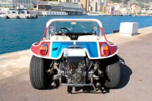 Meyers Manx (6)