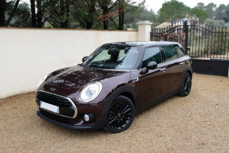 Mini (1)