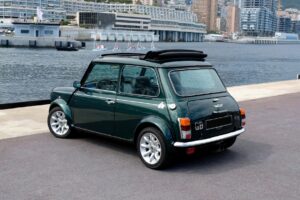 Mini Mpi (2)