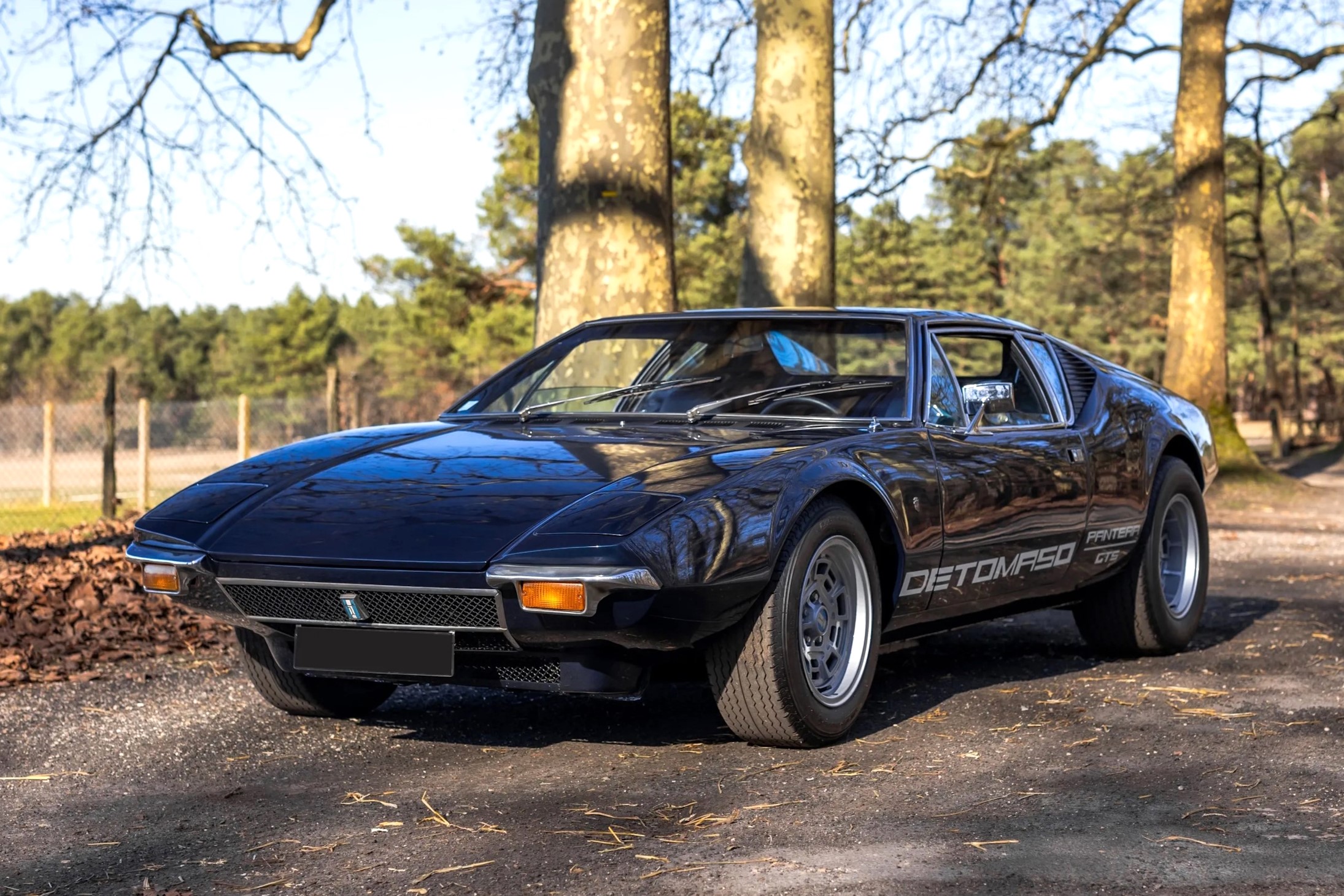 De Tomaso Pantera (1)