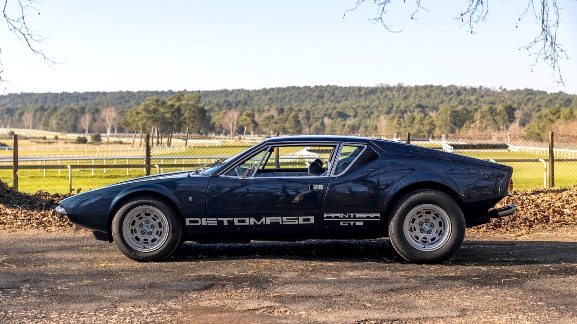 De Tomaso Pantera (16 9) (3)