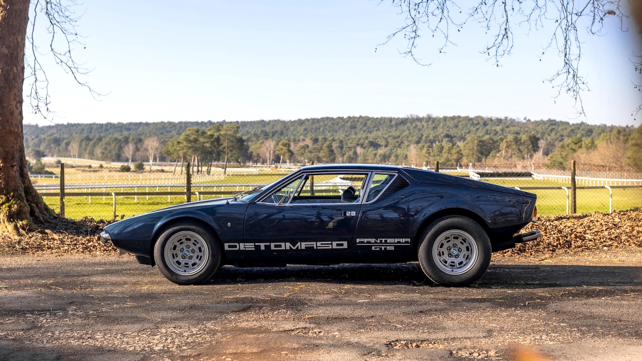 De Tomaso Pantera (16 9) (3)
