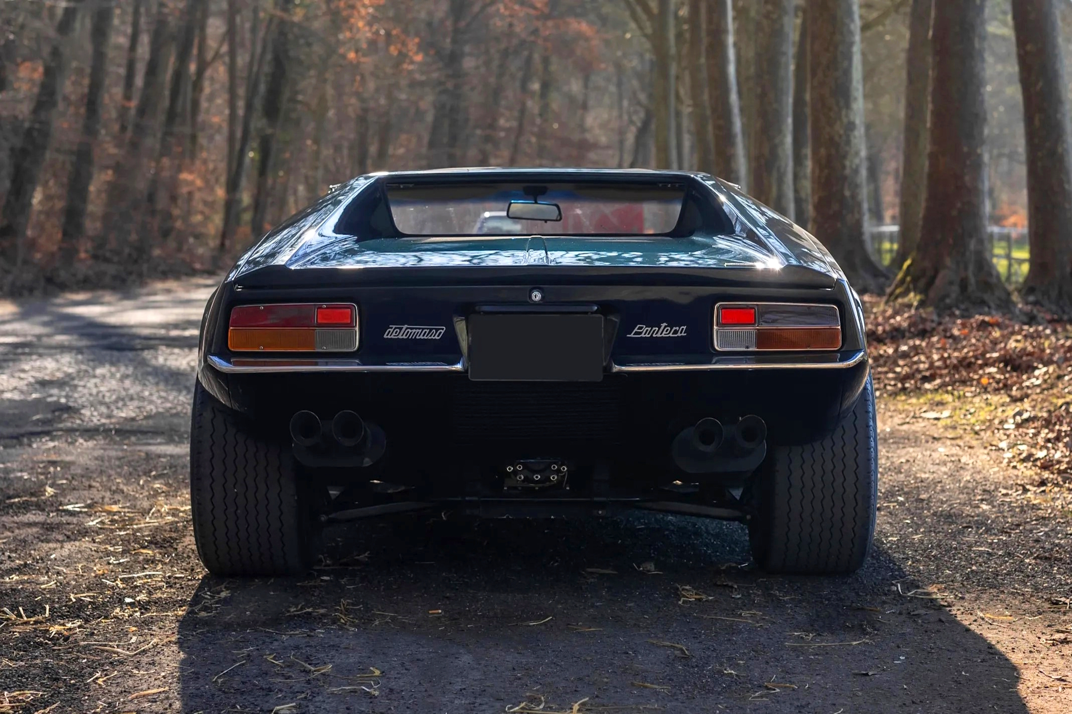 De Tomaso Pantera (2)