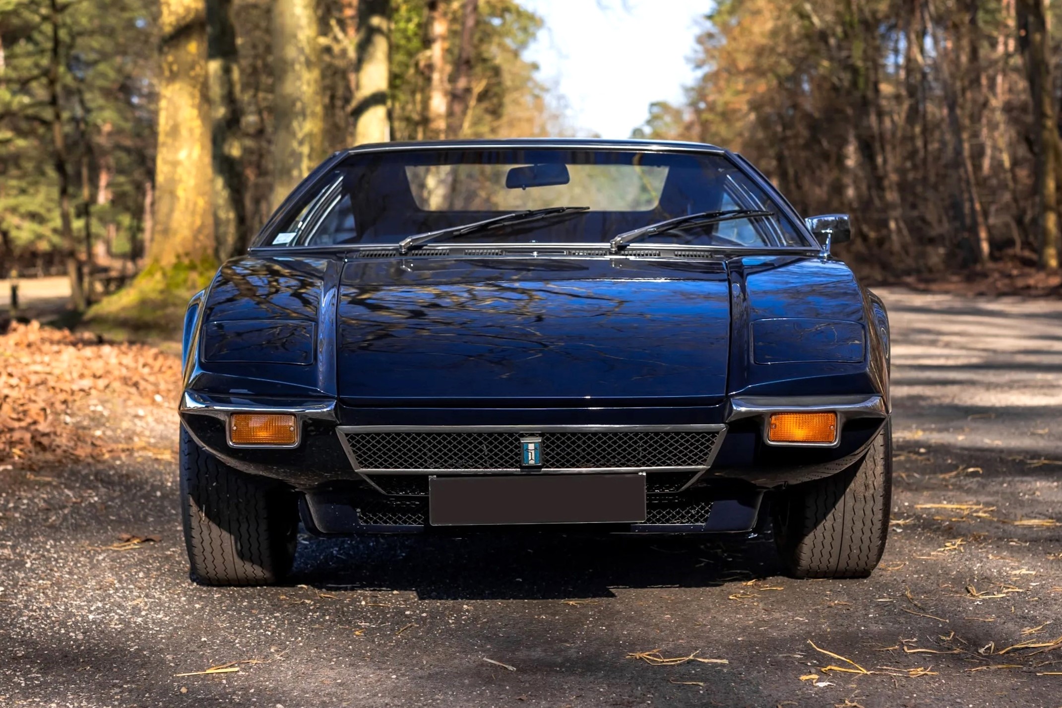 De Tomaso Pantera (3)