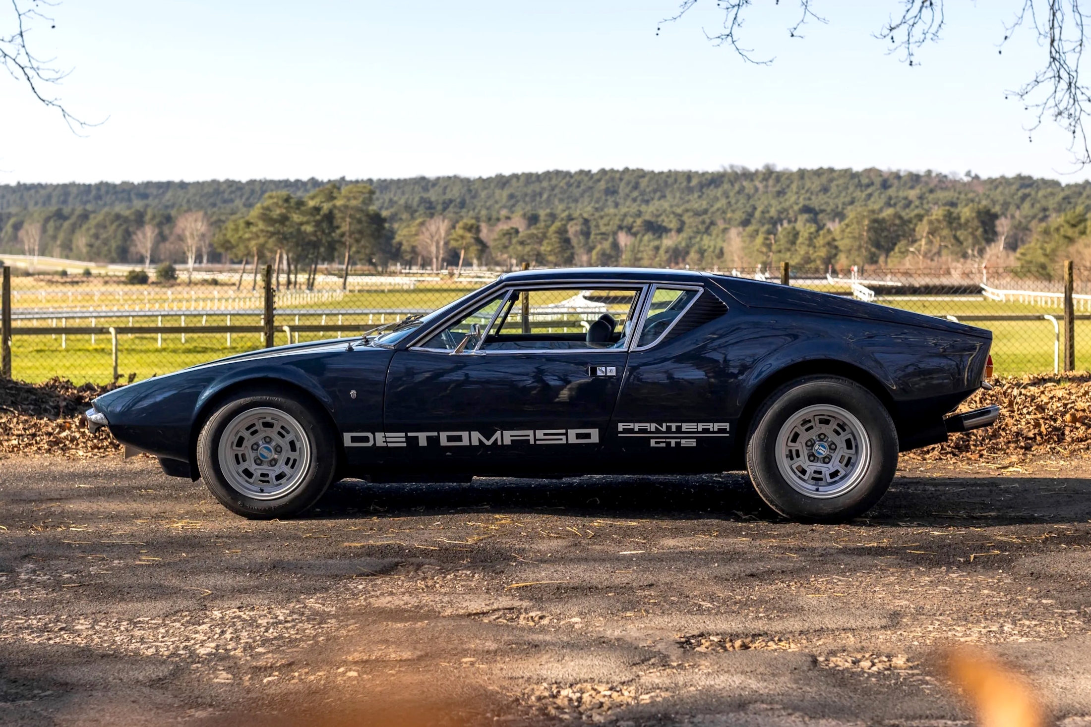 De Tomaso Pantera (3)