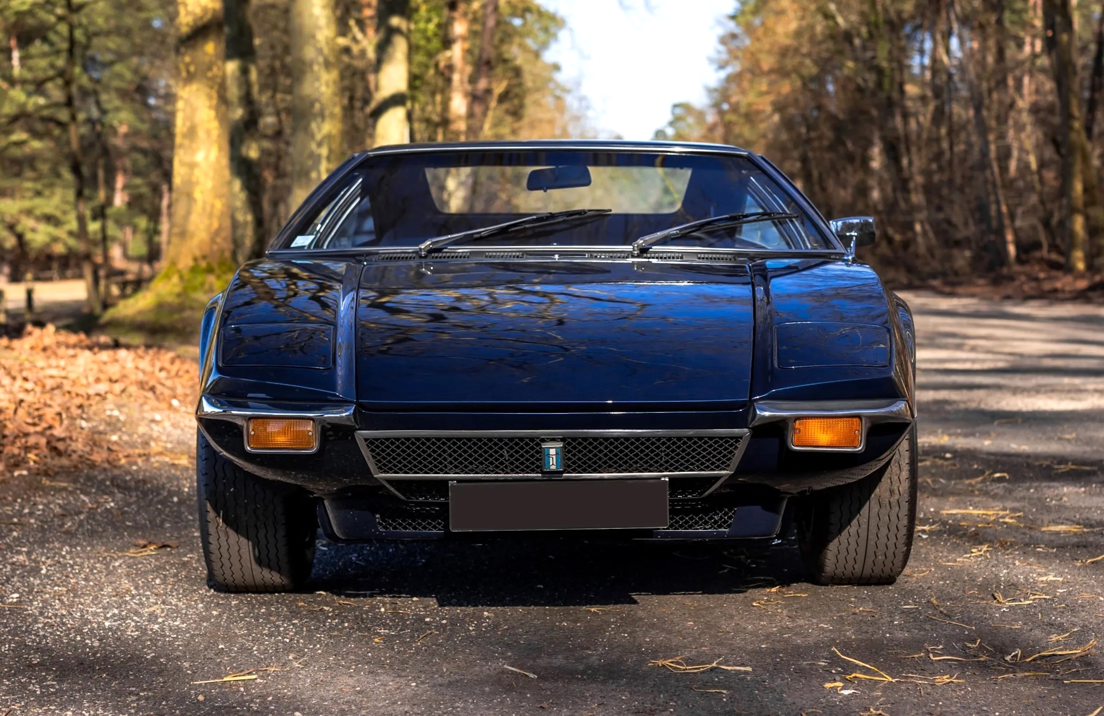 De Tomaso Pantera (4)