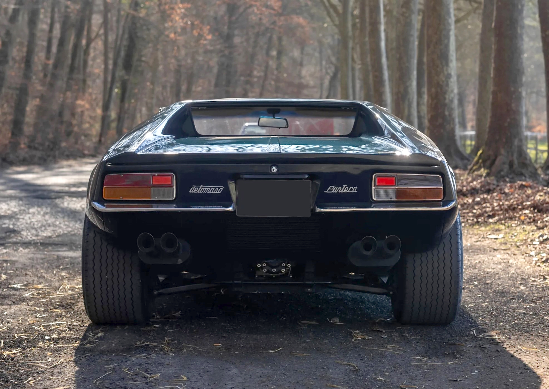 De Tomaso Pantera (5)