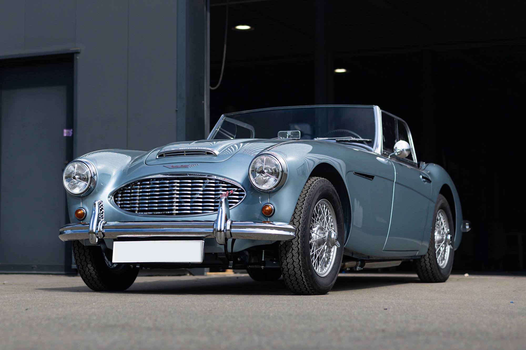 Austin Healey (1)