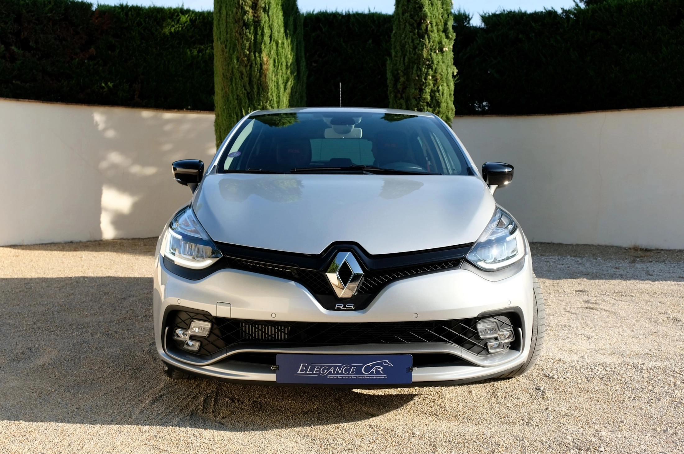 Renault Clio RS (5)